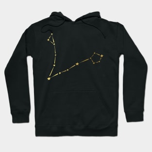 Pisces Zodiac Art Gold Hoodie